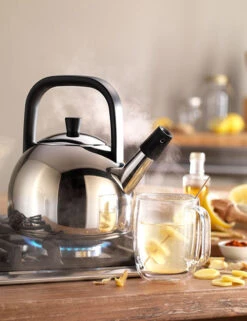 Zwilling Plus Fluitketel Rond 1,6 Liter Rvs -Kookwinkel zwilling plus fluitketel rond 1 5 liter rvs